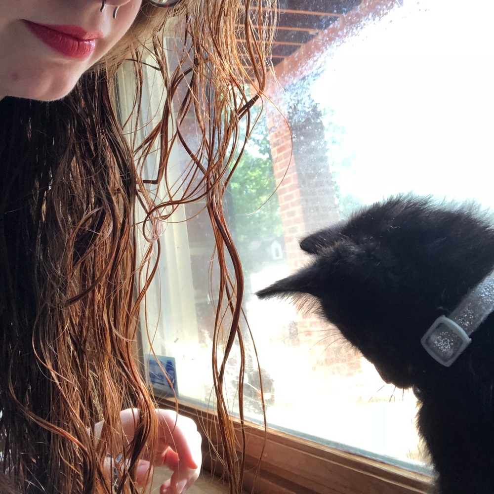 Meet your Posher, Lane